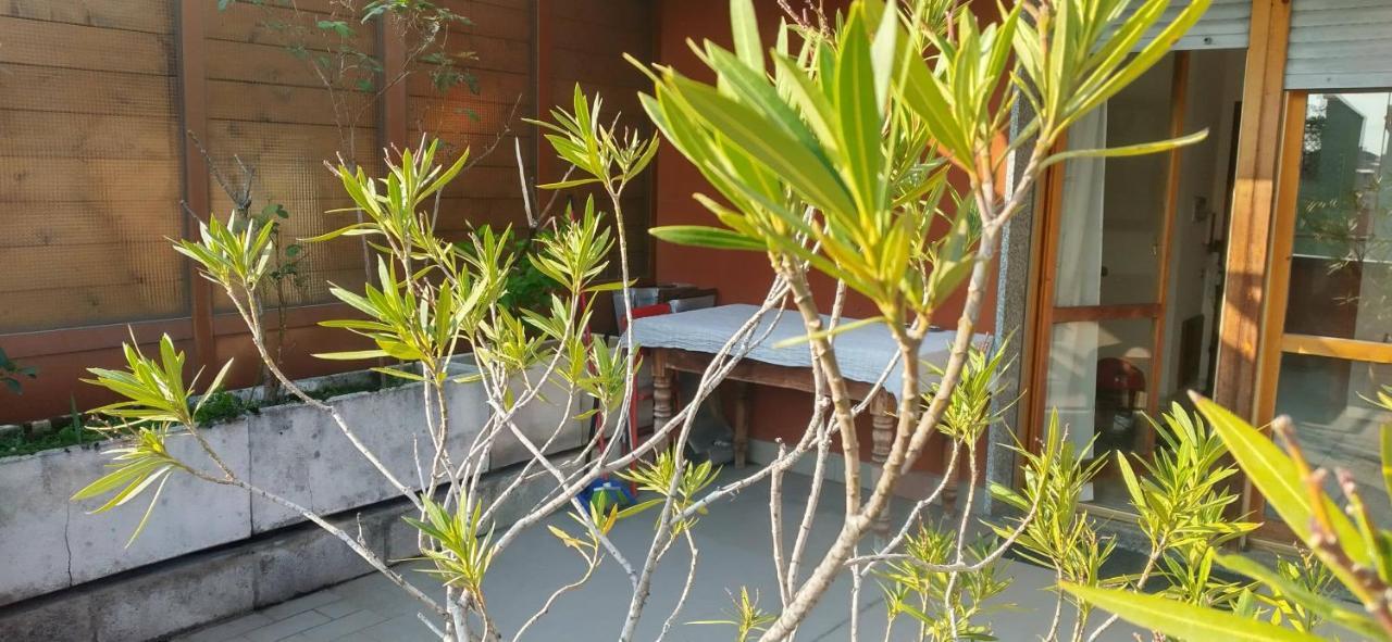 Meraviglioso Super Attico Con Terrazza Milán Exterior foto