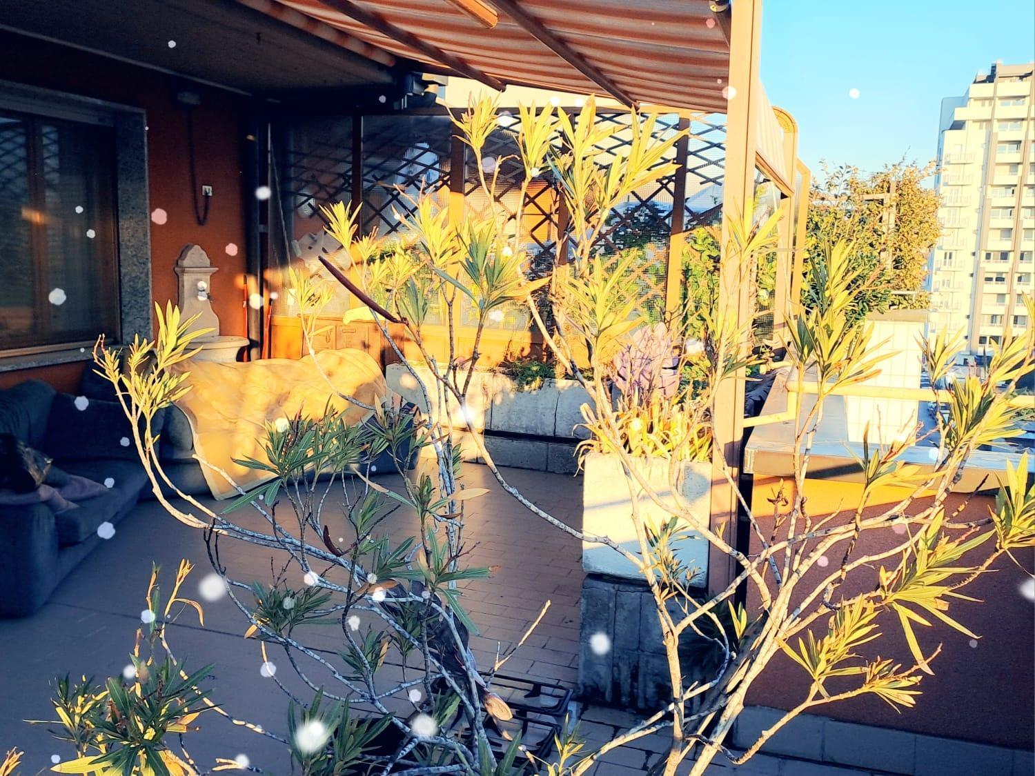 Meraviglioso Super Attico Con Terrazza Milán Exterior foto